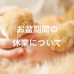 お盆期間の休業日について