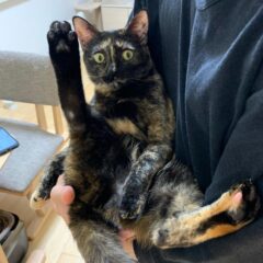 写真写りが悪いけど、うちの子が一番可愛い！！