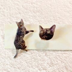 うちの子イヤリング・ピアス【全身&お顔】