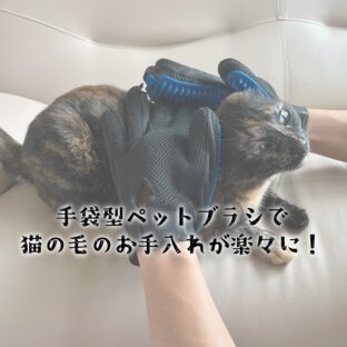 手袋型ペットブラシで猫の毛のお手入れが楽々に!