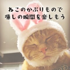 ねこのかぶりもので癒しの瞬間を楽しもう