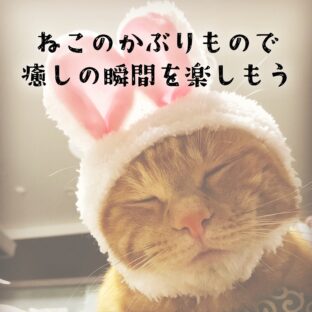 ねこのかぶりもので癒しの瞬間を楽しもう