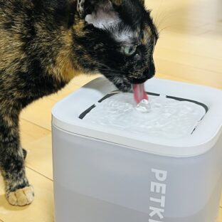 猫が喜ぶ!ペット用給水機の選び方ガイド