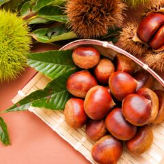 猫が栗を食べても大丈夫？リスクと対策を紹介