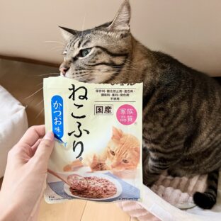 猫の食いつきUP！ふりかけ利用法まとめ