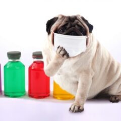 インフルエンザの流行時期と予防法