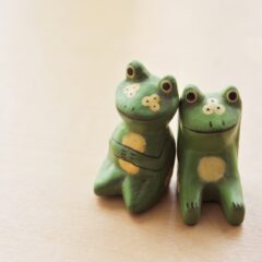 カエルと出会ったら知る！縁起の良いスピリチュアルな意味