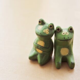 カエルと出会ったら知る！縁起の良いスピリチュアルな意味