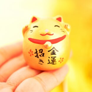 ねこがもたらす風水の良い効果とは？