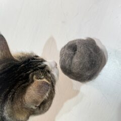 毛玉溜まりを防ぐ食事とブラッシングの最適な方法